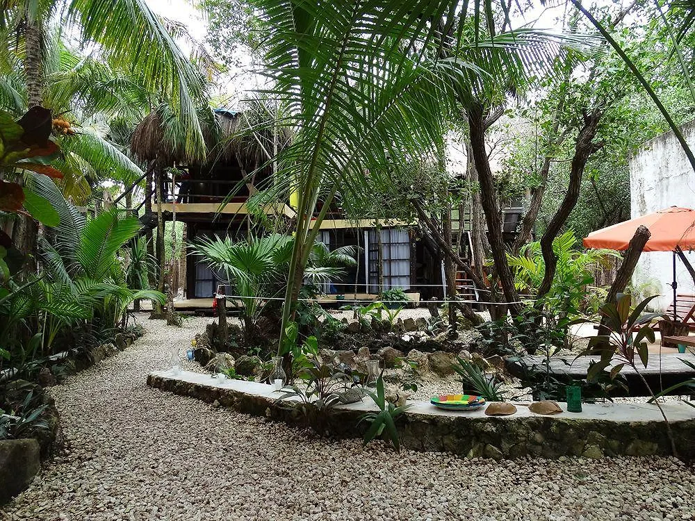 Tunich Bed and Breakfast Τουλούμ Ξενοδοχείο