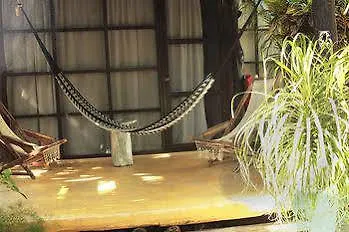 Tunich Bed and Breakfast Τουλούμ 2*,  Μεξικό